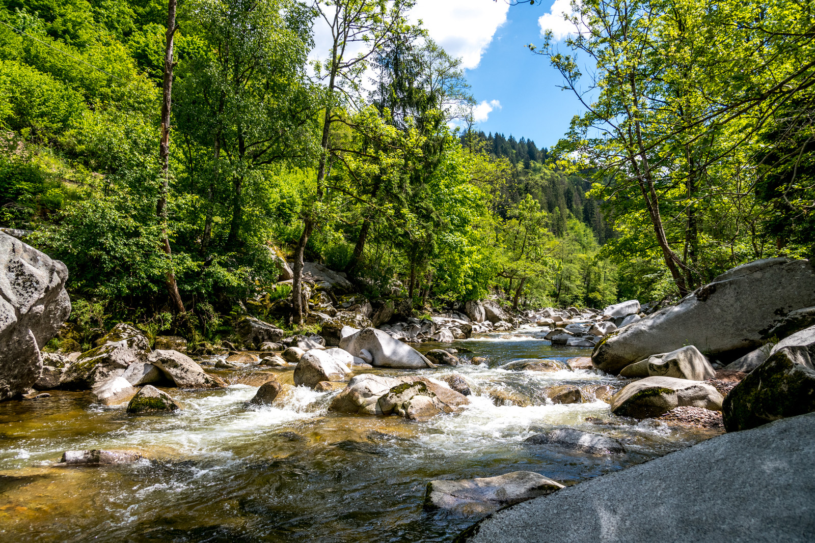 National Park Schwarzwald (TMBW)