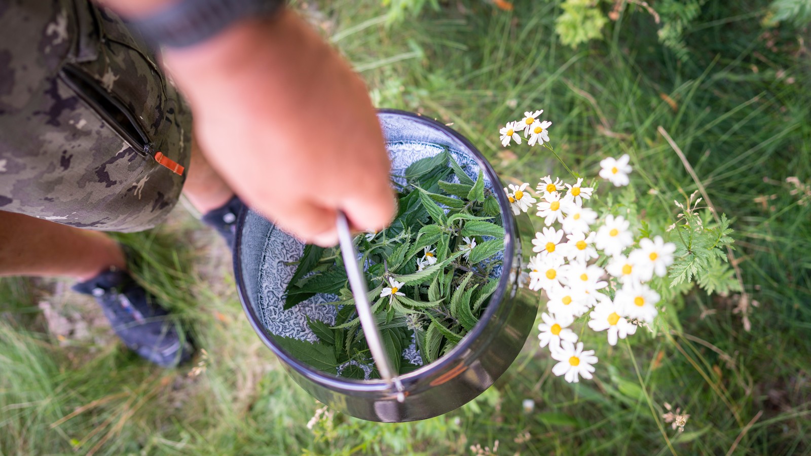 Outdoor cooking in South Germany