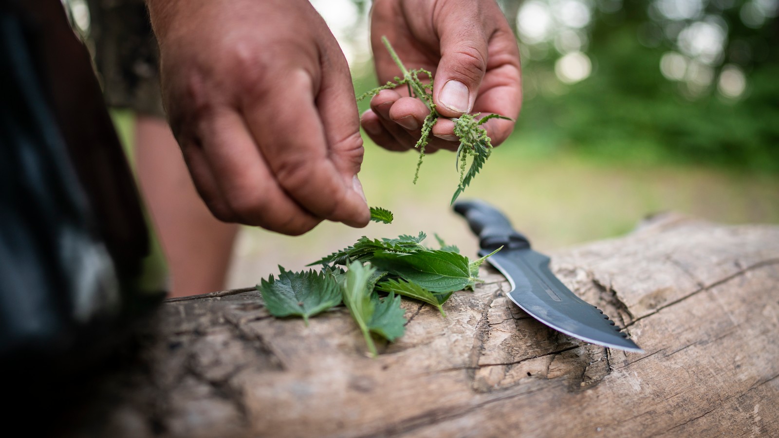 Outdoor cooking in South Germany