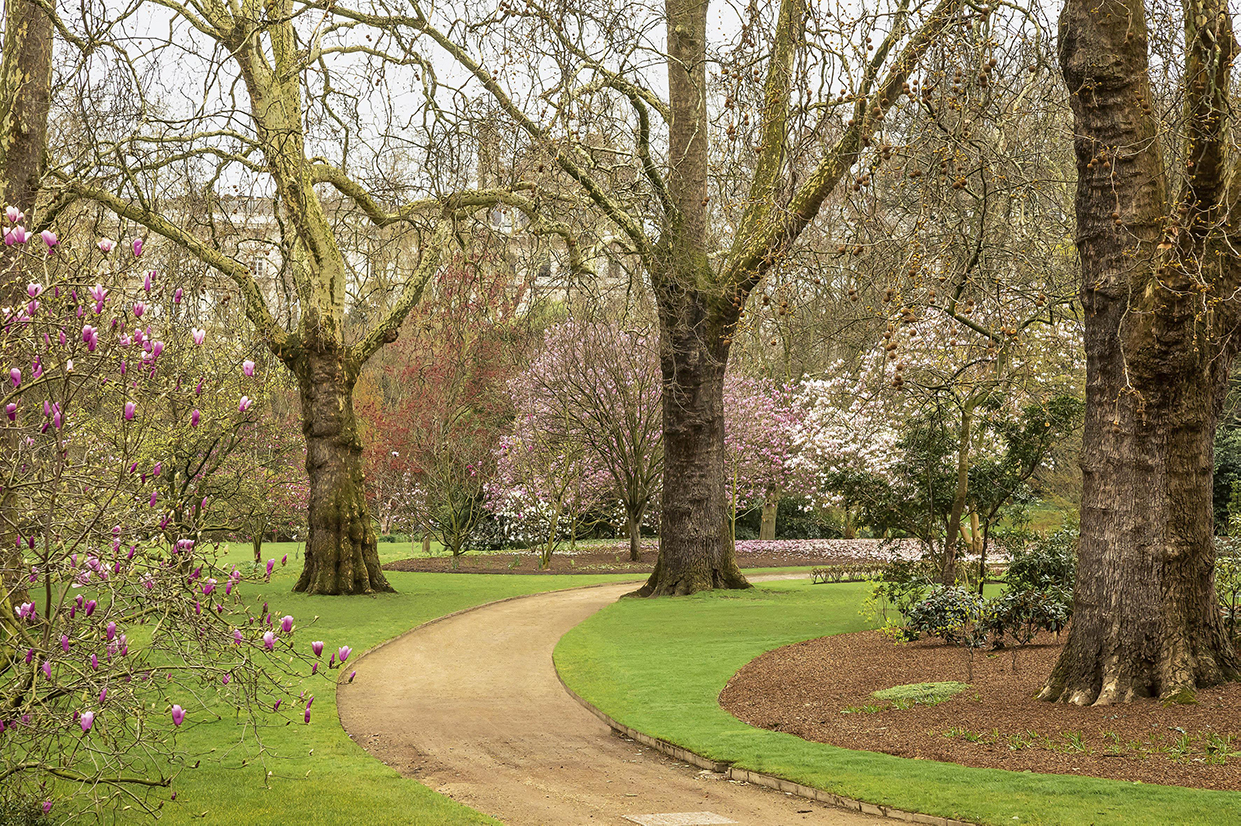 A curving path leading past the Magnolia Dell to the Rose Garden at Buckingham Palace Garden (Photo credit: Royal Collection Trust/© Her Majesty Queen Elizabeth II 2021. Photographer: John Campbell)