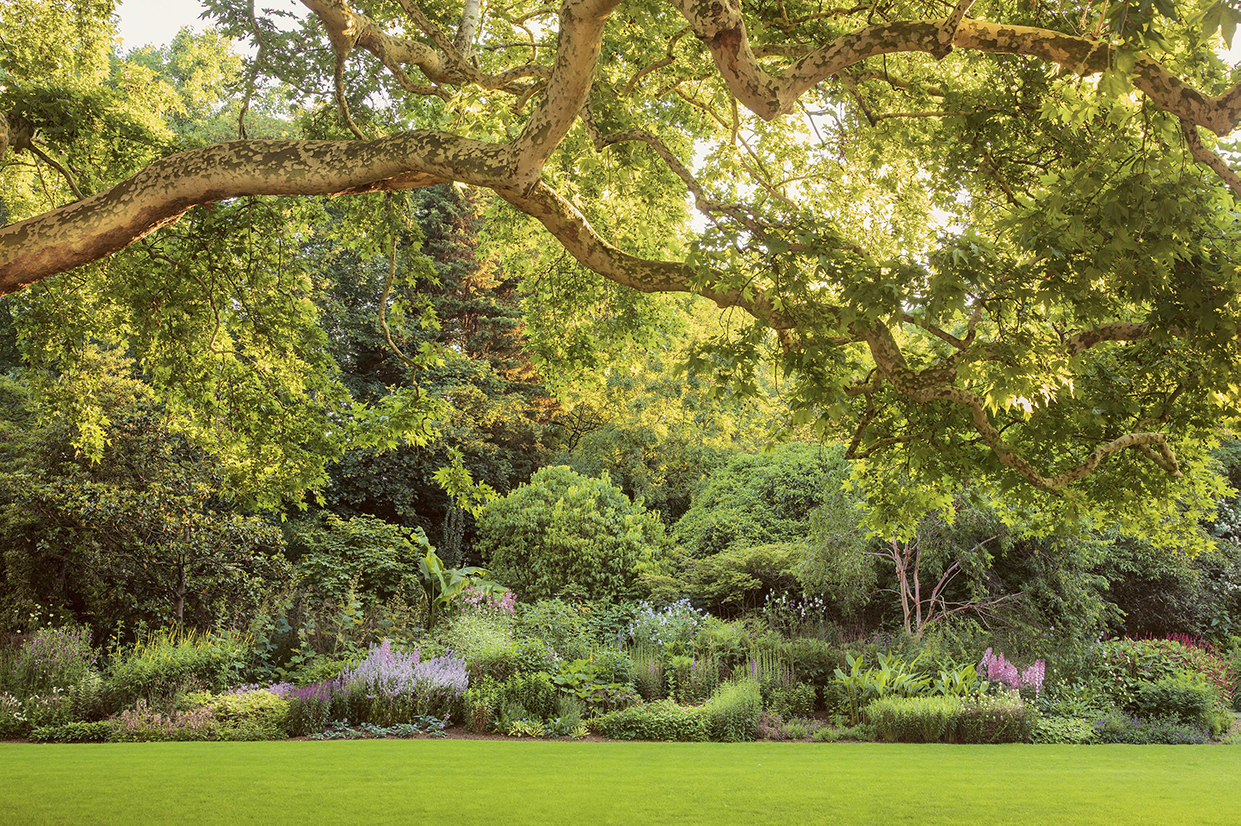 Buckingham Palace Garden - The garden’s 156 m (512 ft) long Herbaceous Border. (Photo credit: Royal Collection Trust/© Her Majesty Queen Elizabeth II 2021. Photographer: John Campbell)