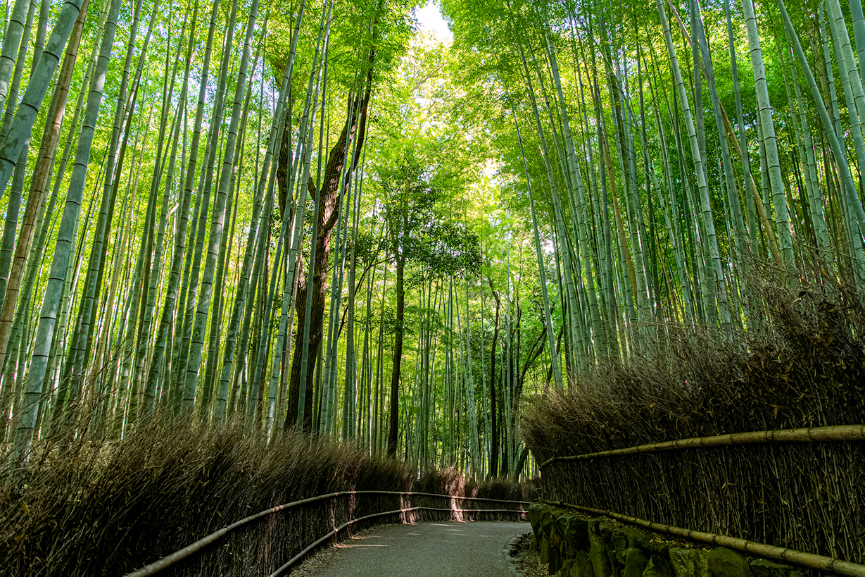 Kyoto Yura Hotel Nijo-jo Bettei MGallery
