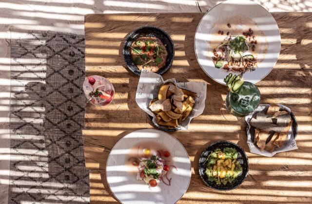 womens flip flops ted baker