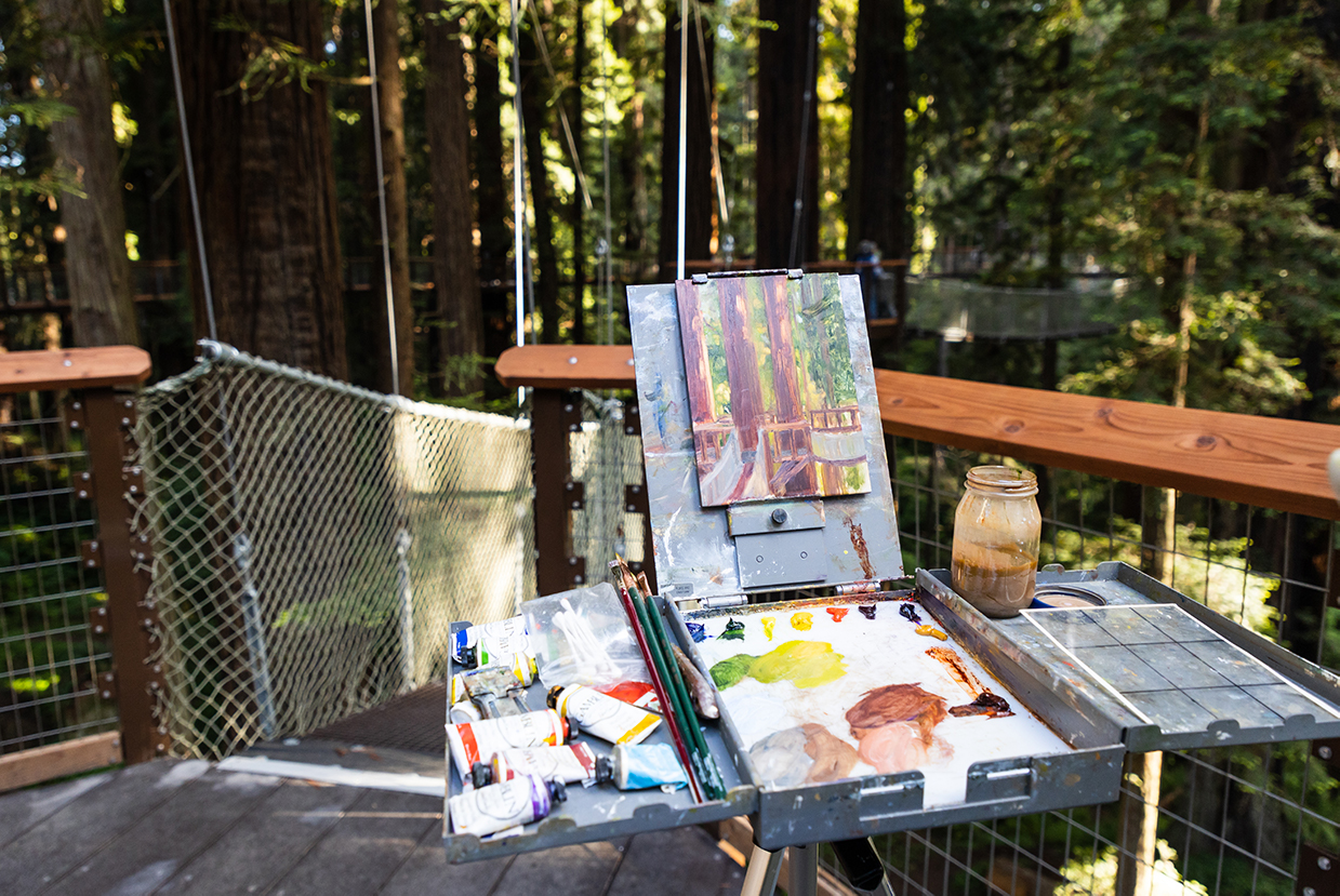 Painting at Redwood Sky Walk