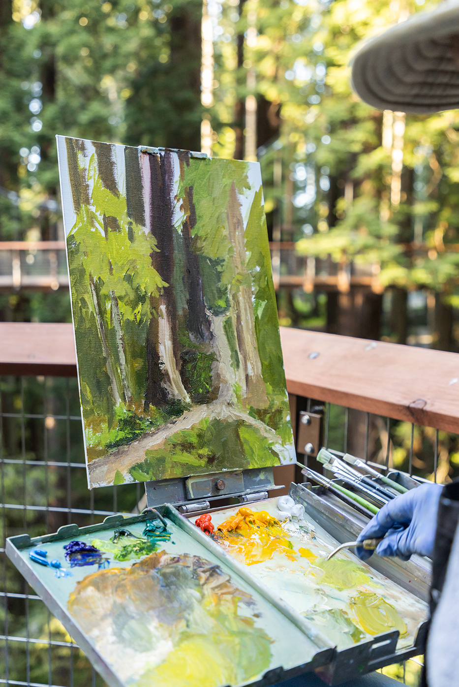 Painting at Redwood Sky Walk