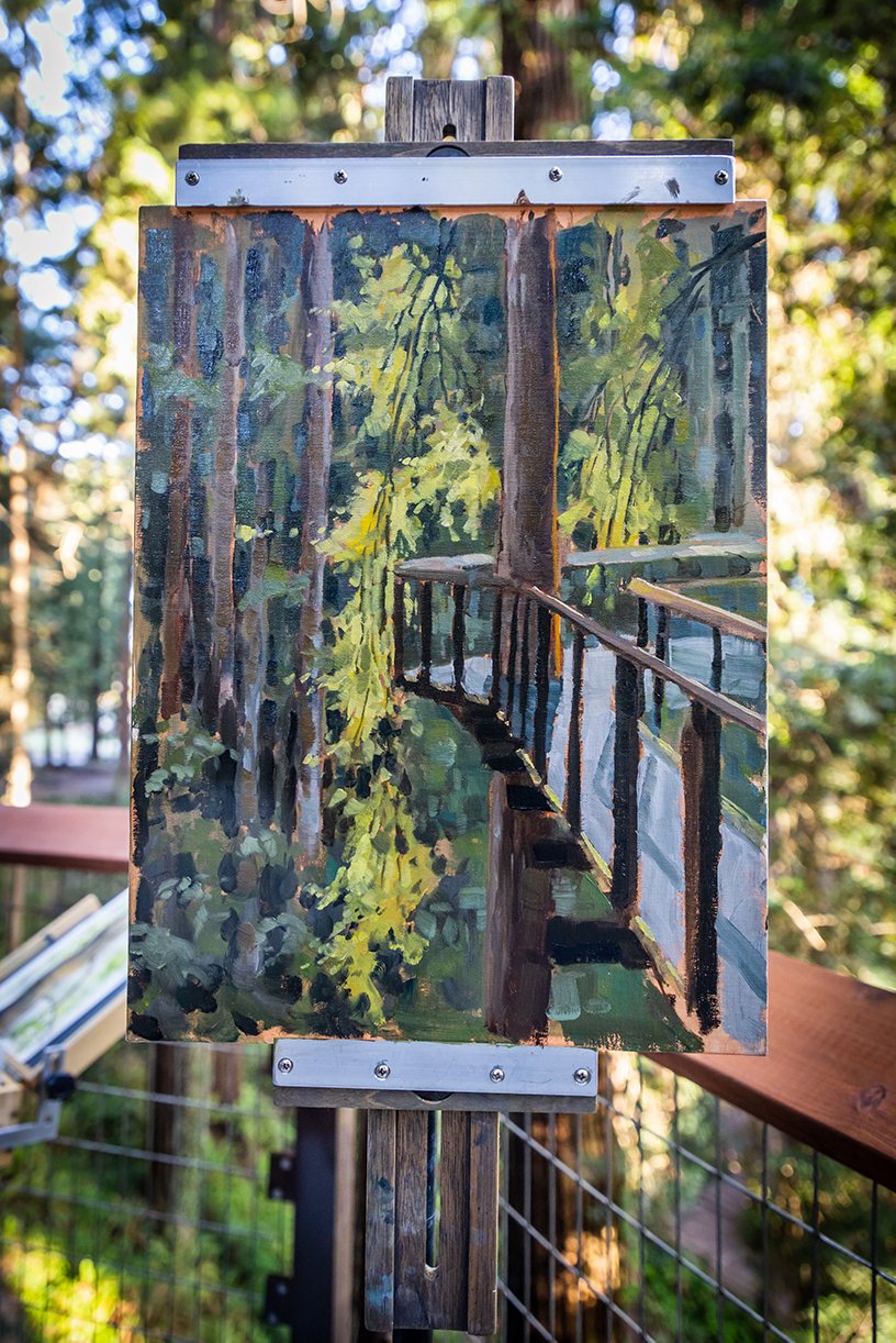 Painting at Redwood Sky Walk
