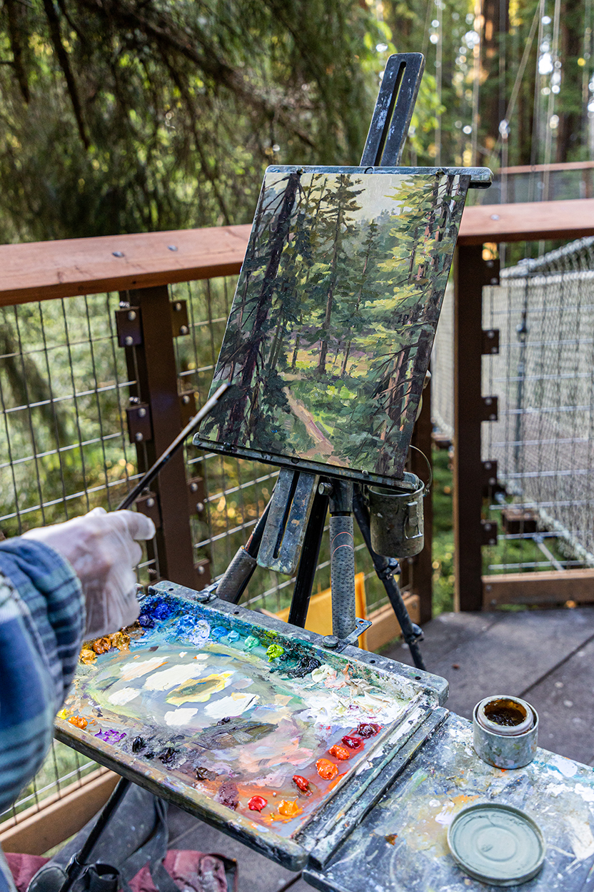 Painting at Redwood Sky Walk