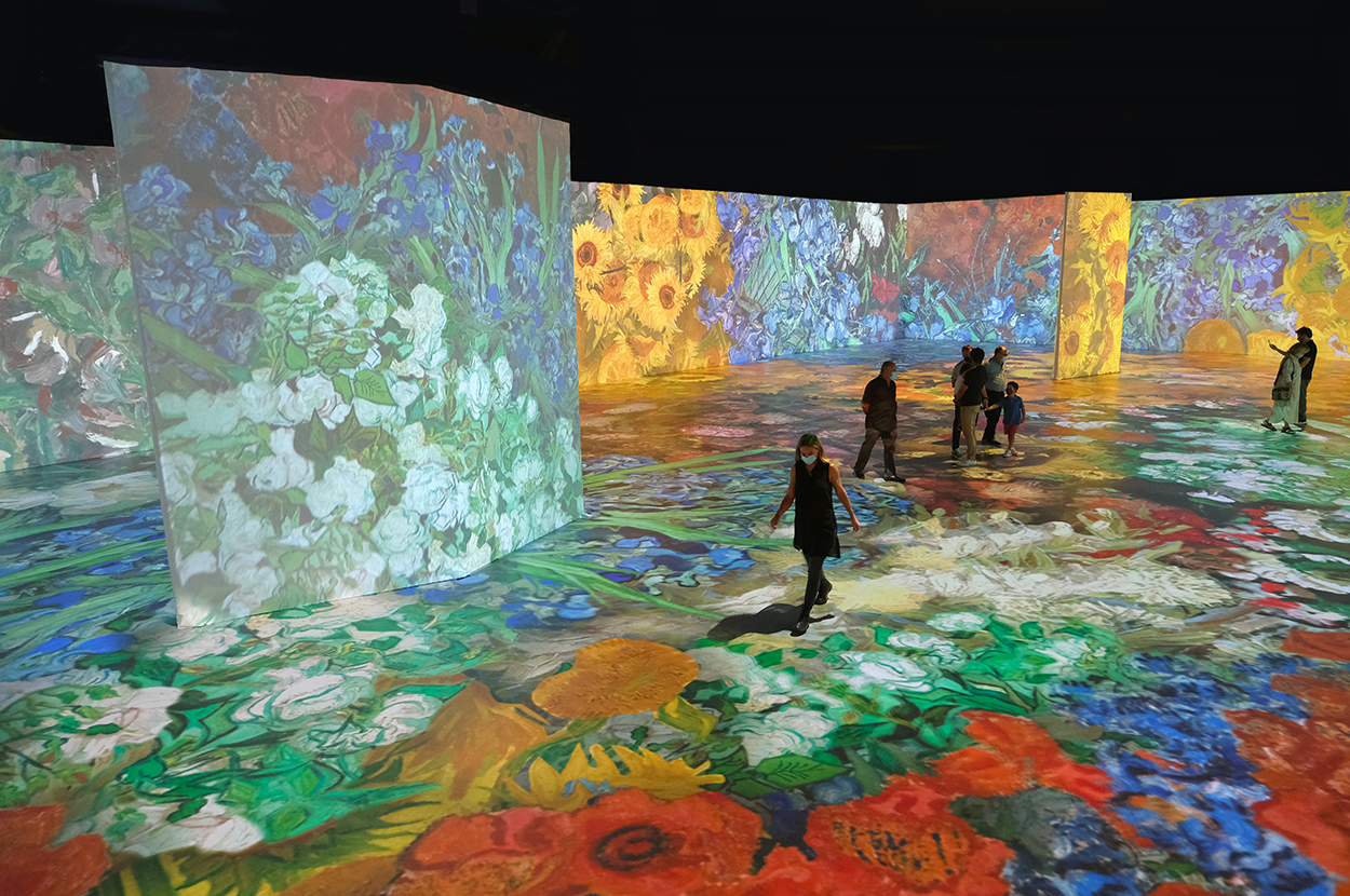 Beyond Van Gogh: The Immersive Experience