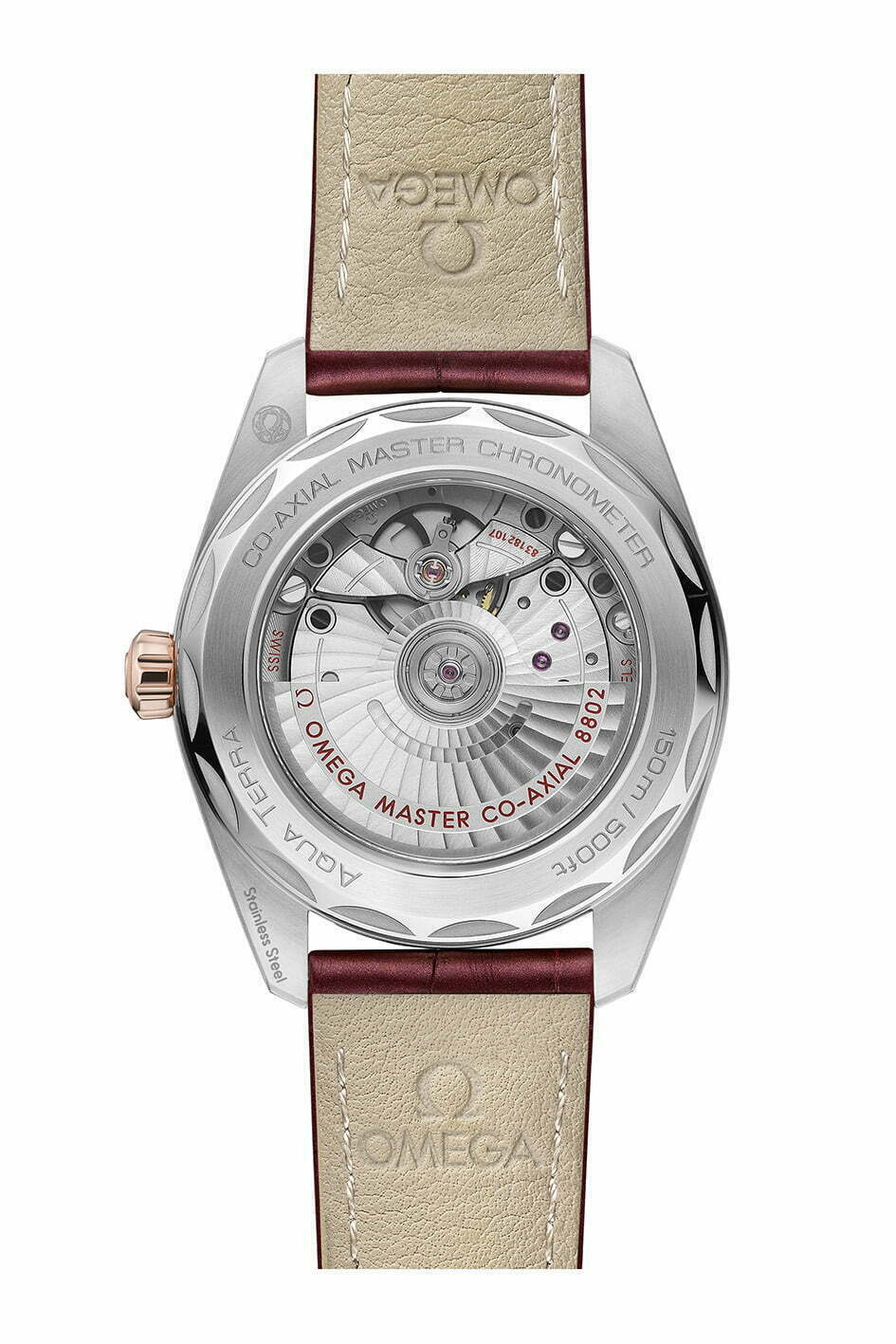 OMEGA Aqua Terra 2021