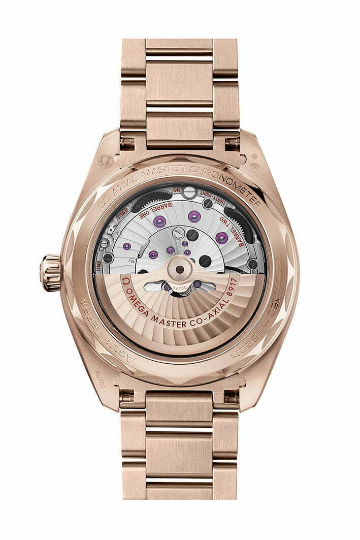 OMEGA Aqua Terra 2021