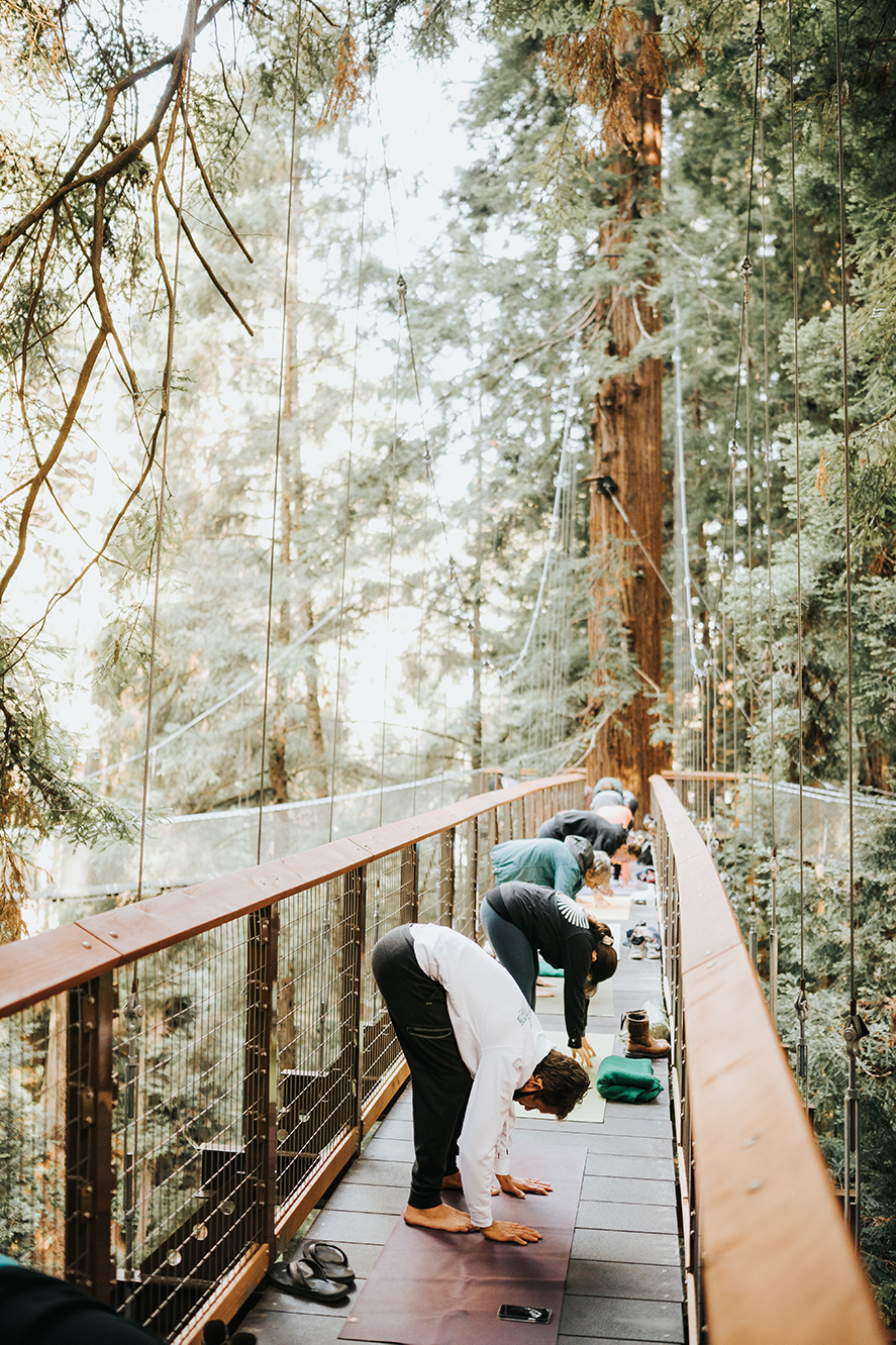 Yoga at Redwood Sky Walk