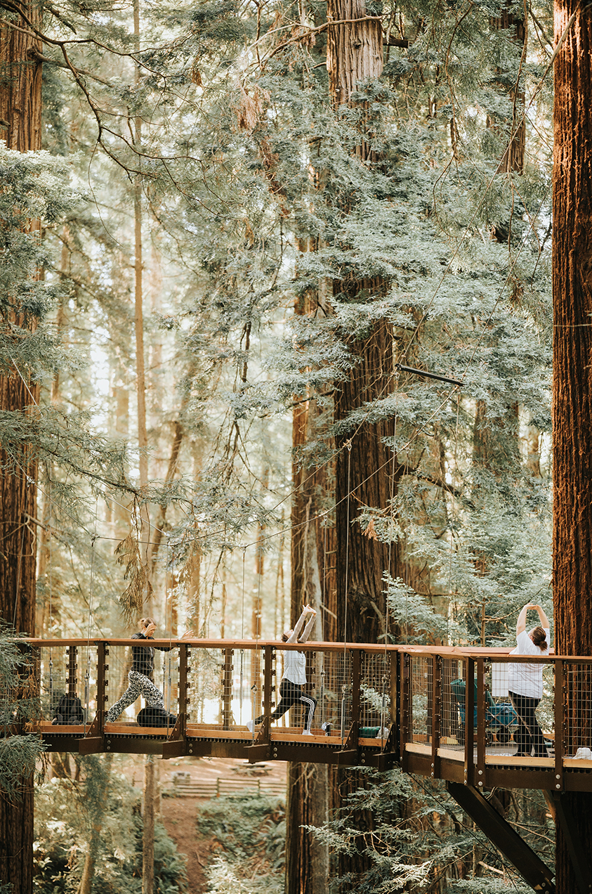 Yoga at Redwood Sky Walk