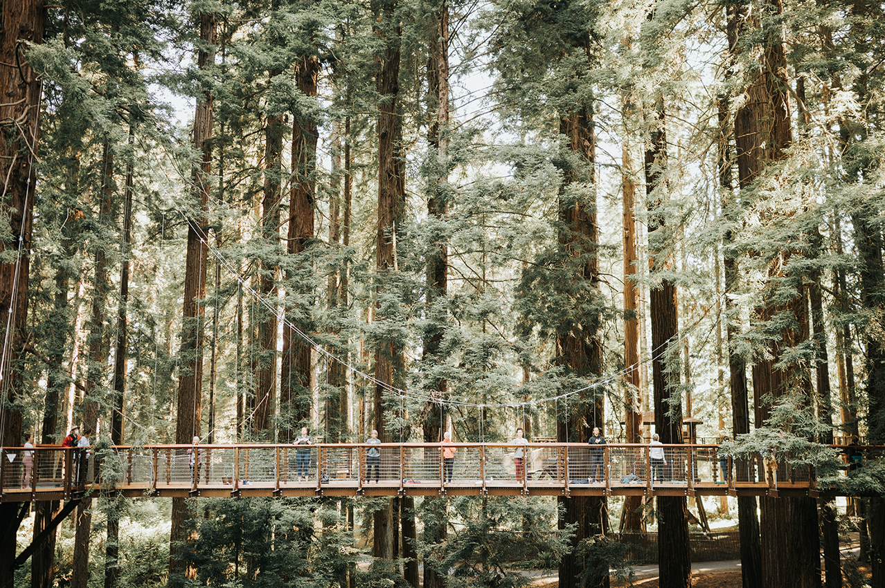 Yoga at Redwood Sky Walk