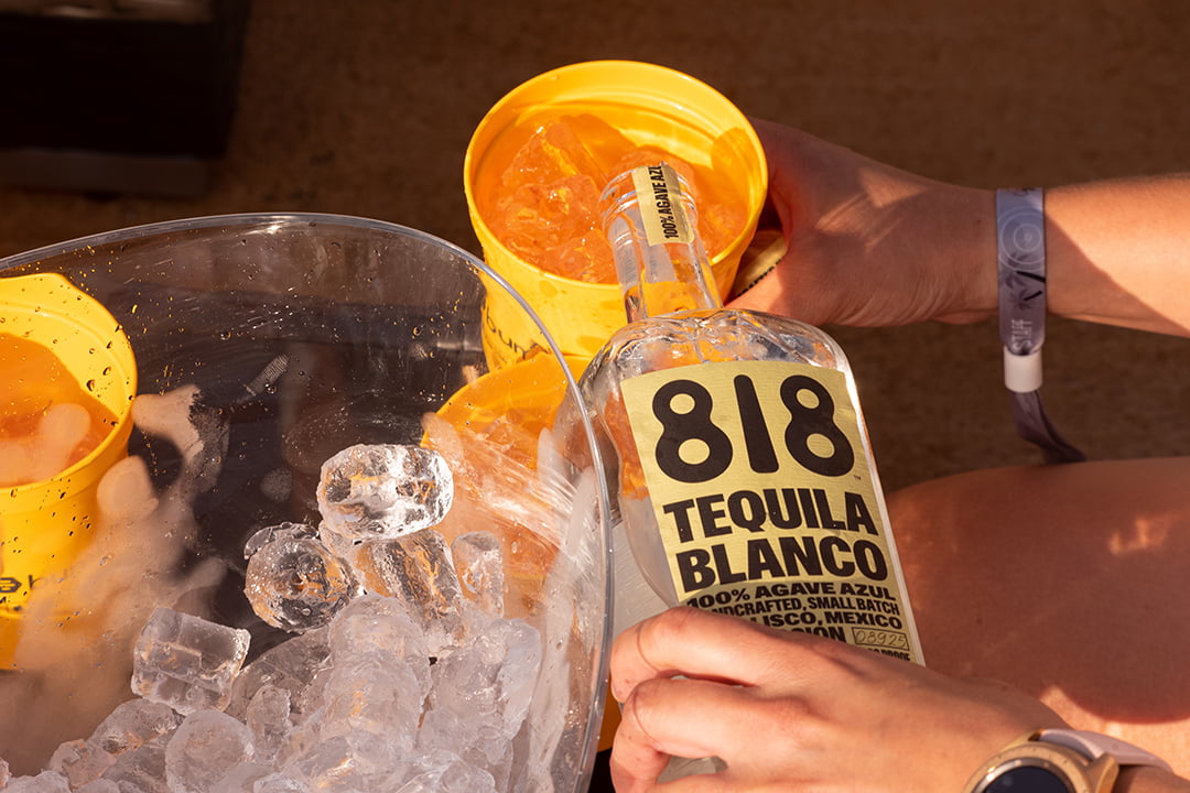 Palm Tree Music Festival