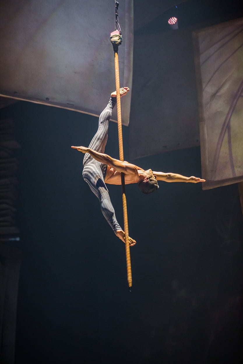 Cirque du Soleil x Disney production ‘Drawn To Life’