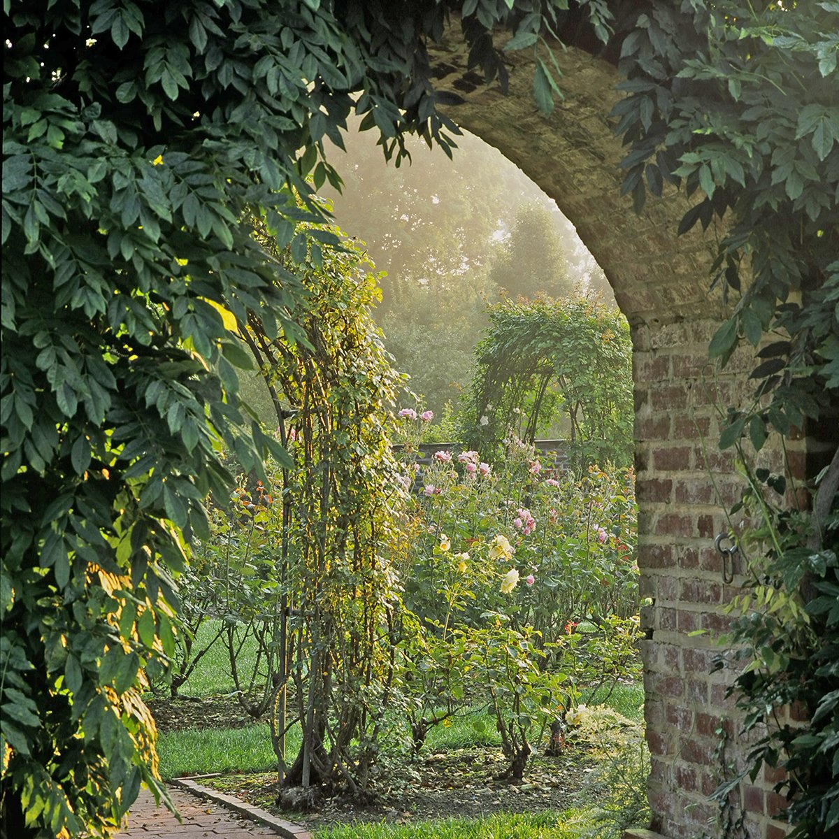 Ladew Topiary Gardens in Maryland - Rose Garden