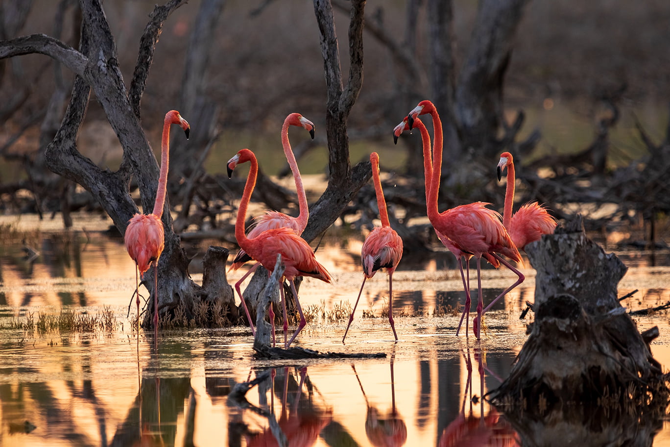 The 3 Hidden Treasures of Yucatán Coast