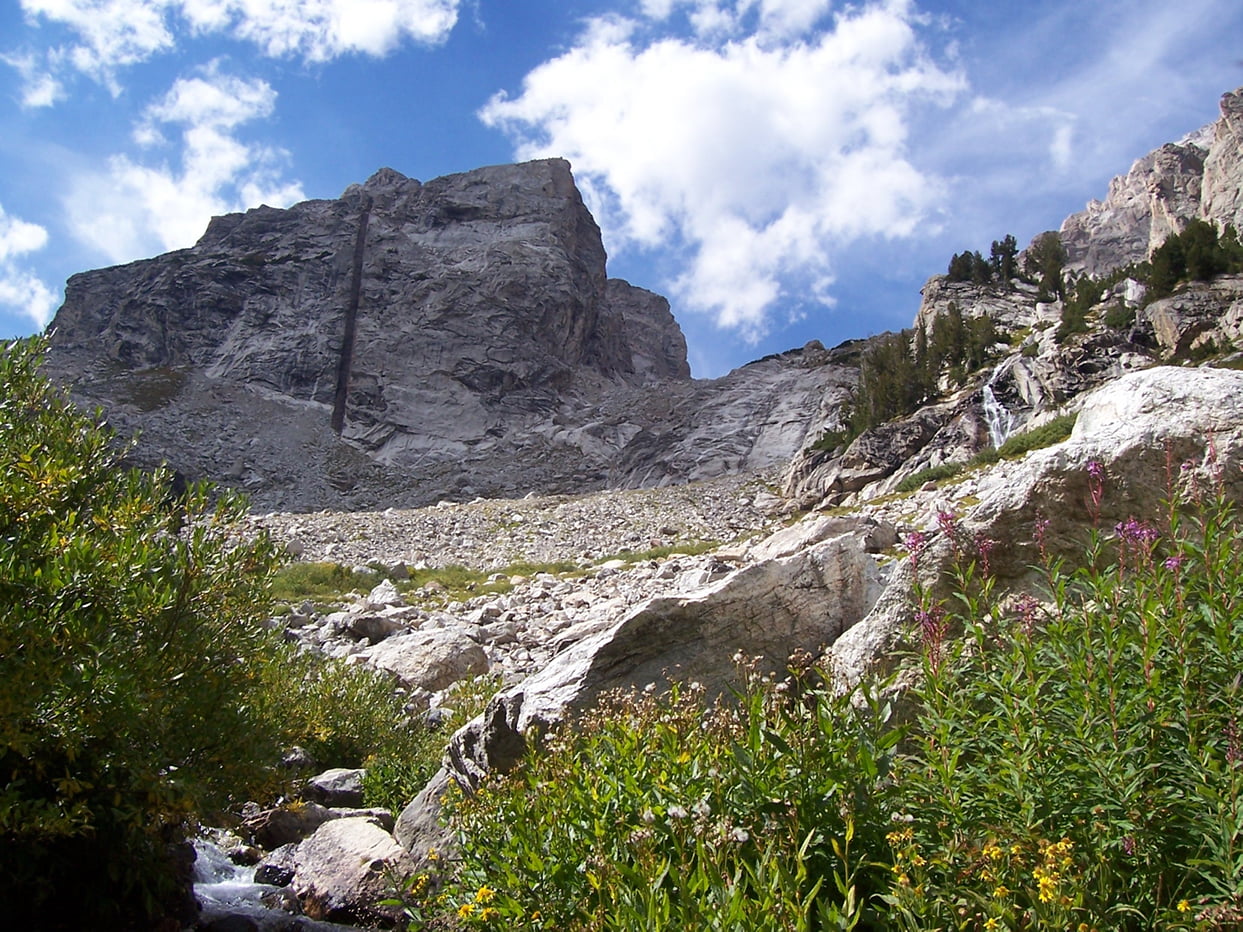 Middle Teton from Garnet Canyon Trail with fireweed in bloom and creek