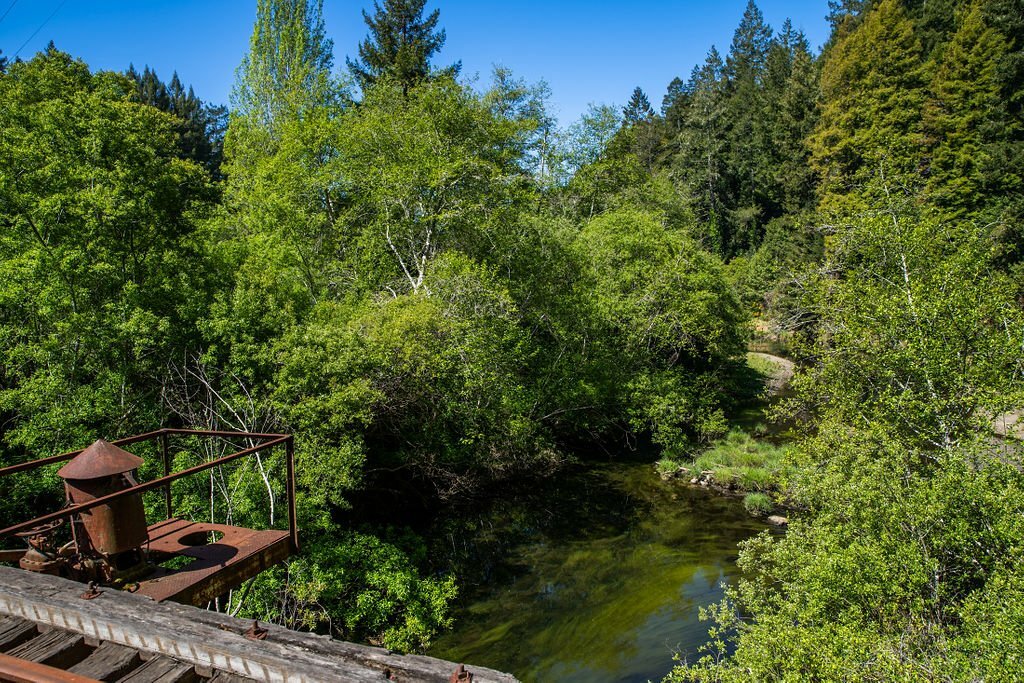 ‘Railbikes on the Noyo’ experience from Skunk Train in California