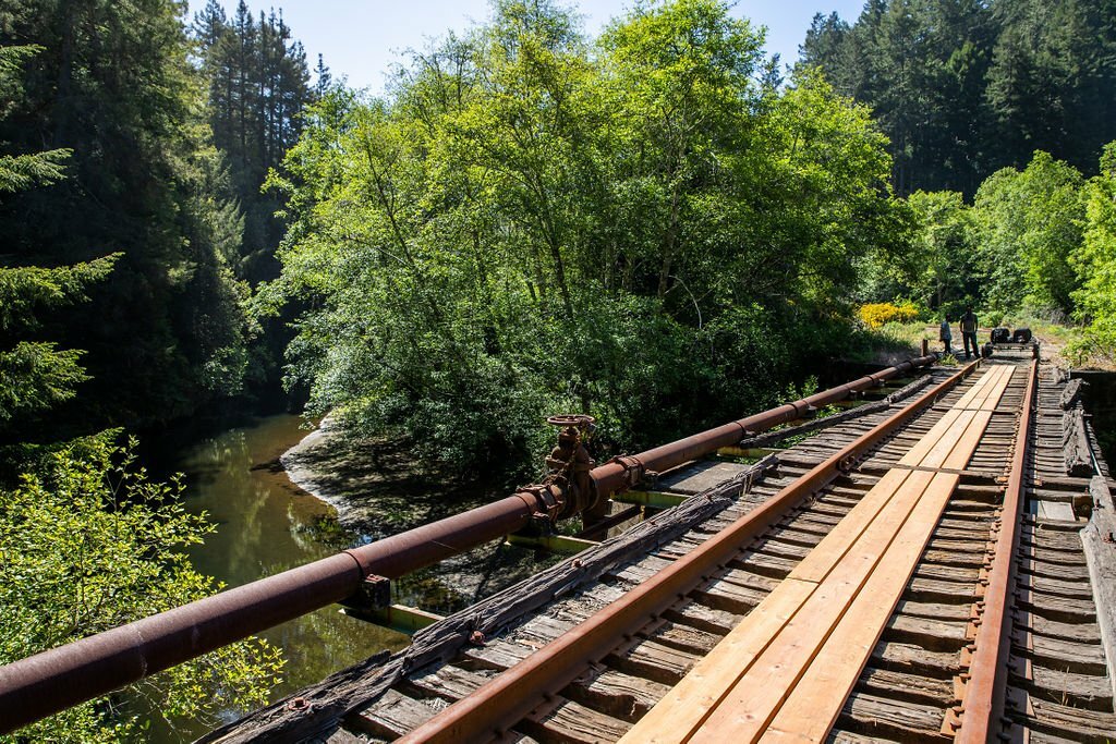 ‘Railbikes on the Noyo’ experience from Skunk Train in California