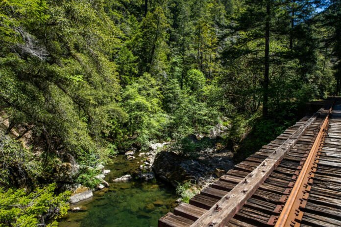 ‘Railbikes on the Noyo’ experience from Skunk Train in California