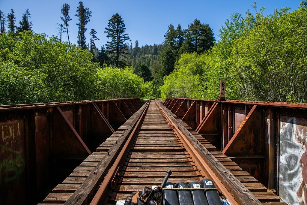 ‘Railbikes on the Noyo’ experience from Skunk Train in California