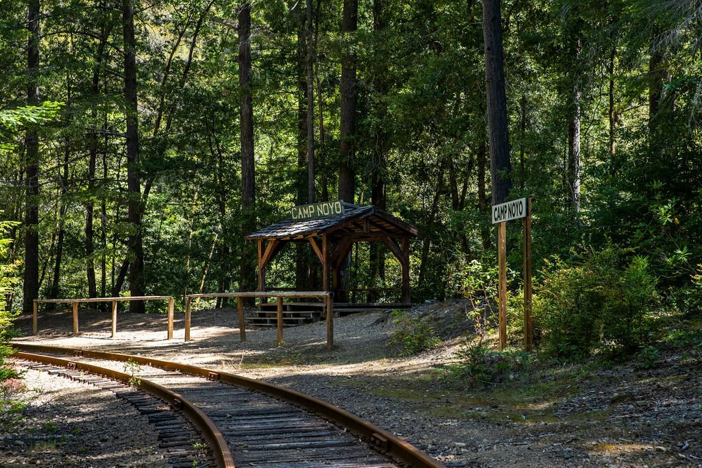 ‘Railbikes on the Noyo’ experience from Skunk Train in California