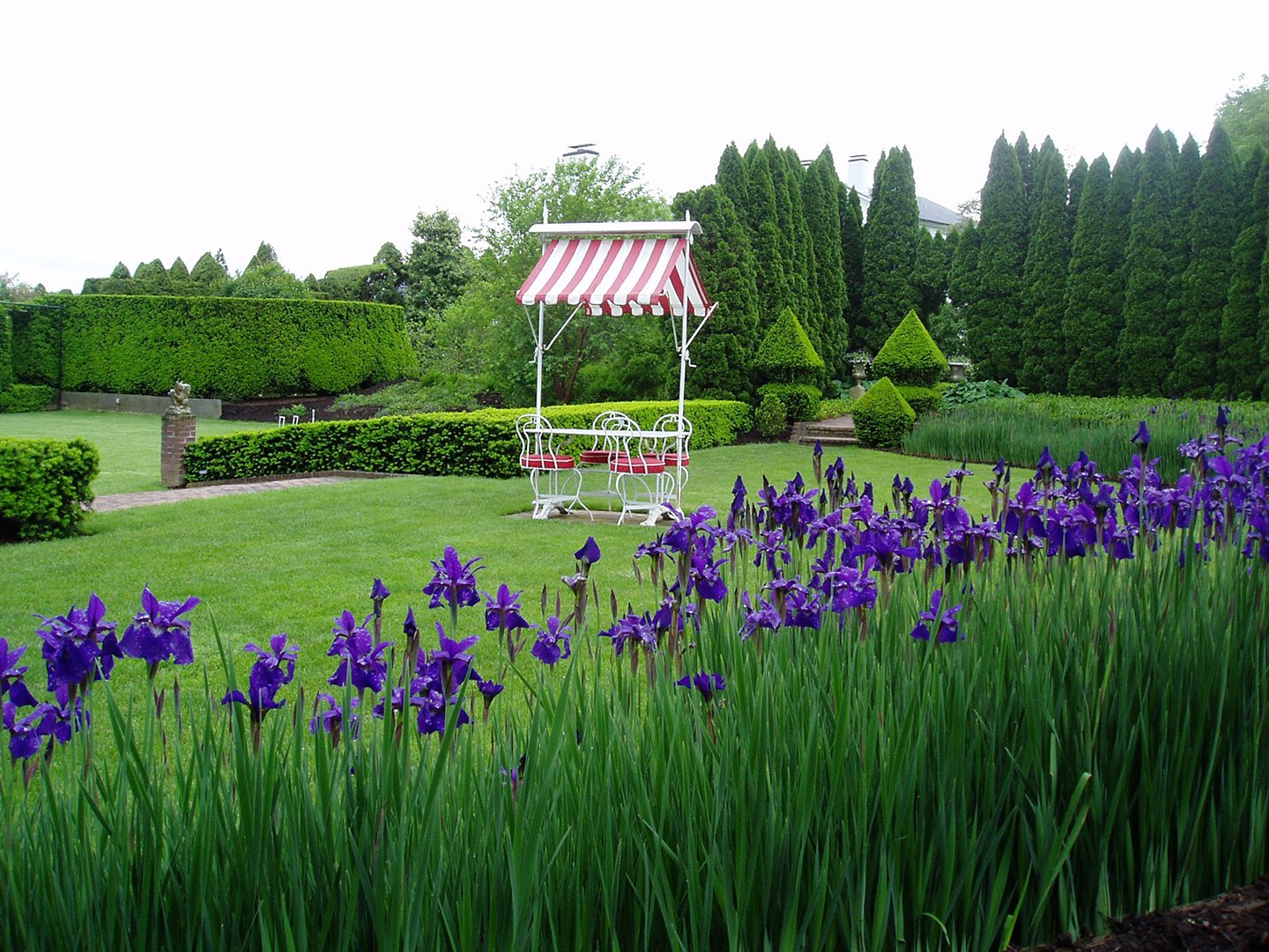 Ladew Topiary Gardens in Maryland - The Croquet Court Garden