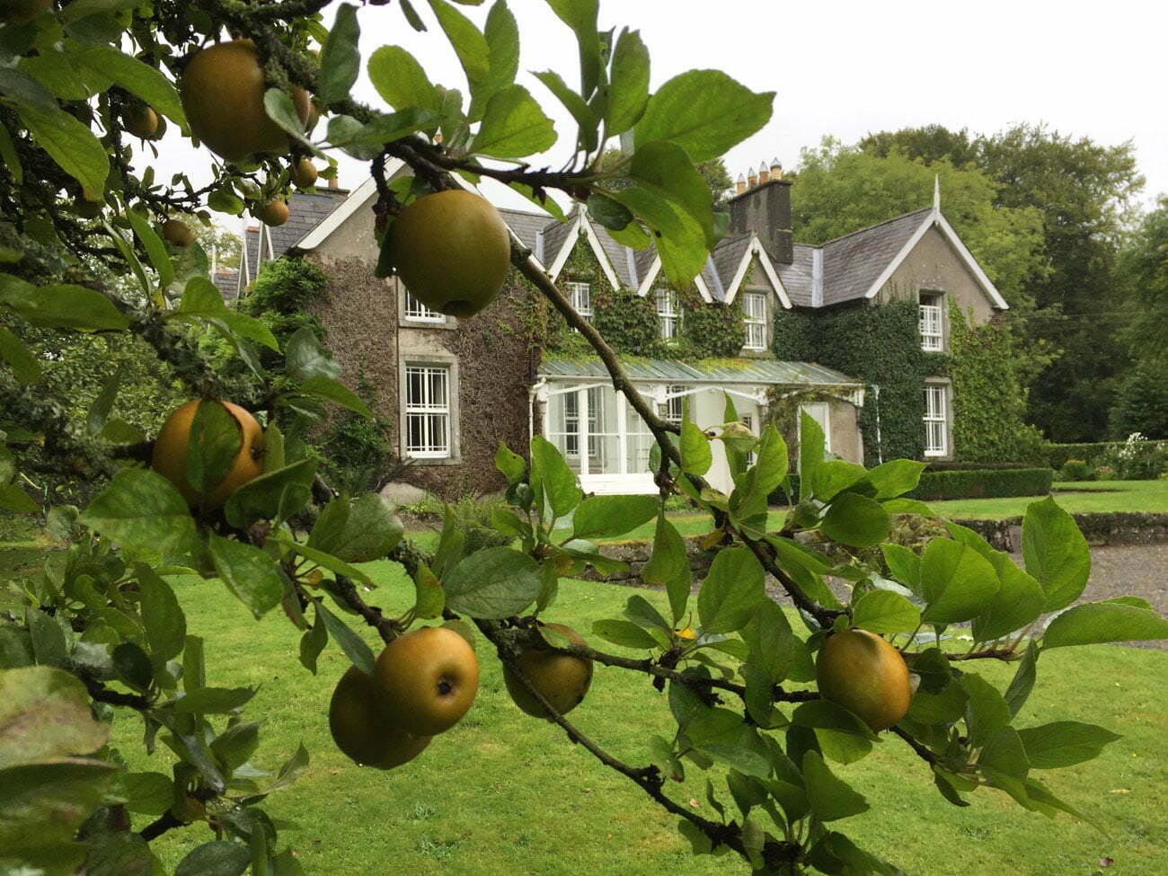 Blackstairs eco trail house