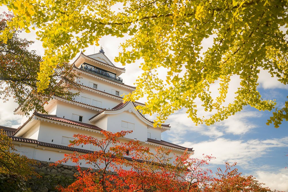 Tsuruga Castle