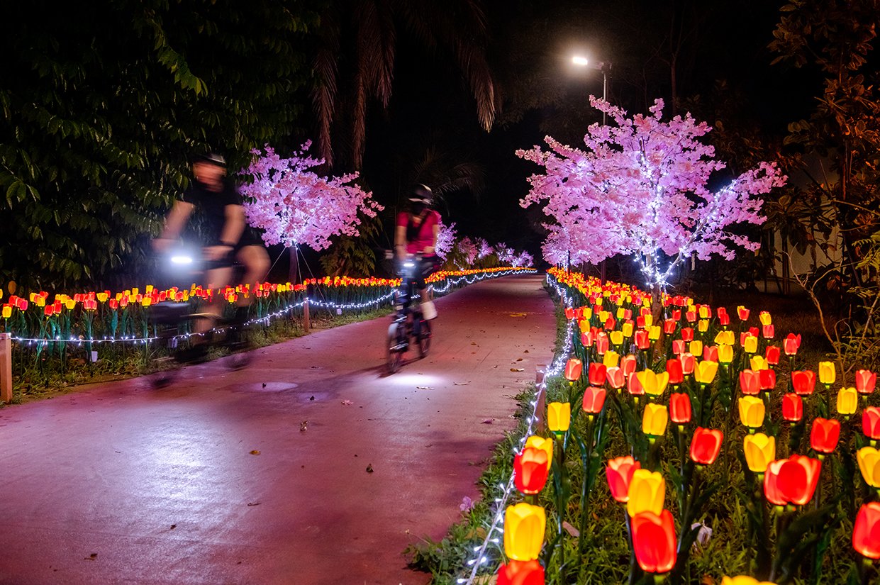 Be wowed by two new dinosaur structures and a fully lit Changi Airport Connector featuring more than 10,000 blooms of illuminated flowers such as tulips, sunflowers, dandelions this festive season