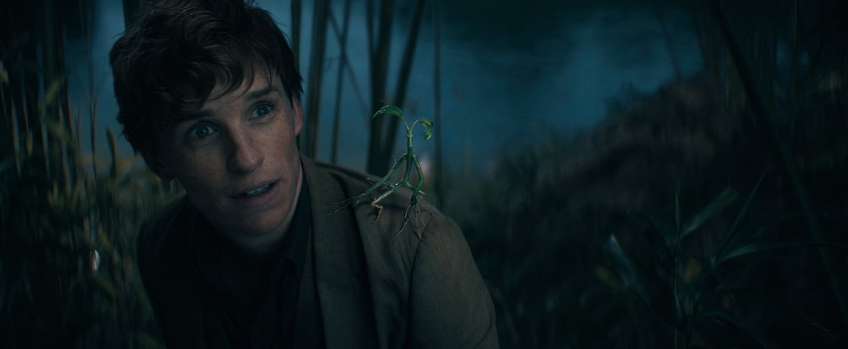 EDDIE REDMAYNE as Newt Scamander in Warner Bros. Pictures' fantasy adventure "FANTASTIC BEASTS: THE SECRETS OF DUMBLEDORE,” a Warner Bros. Pictures release.