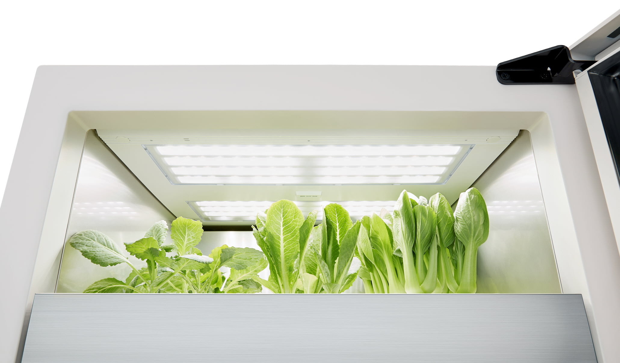 LG Electronics introduces a modern freestanding indoor gardening appliance
