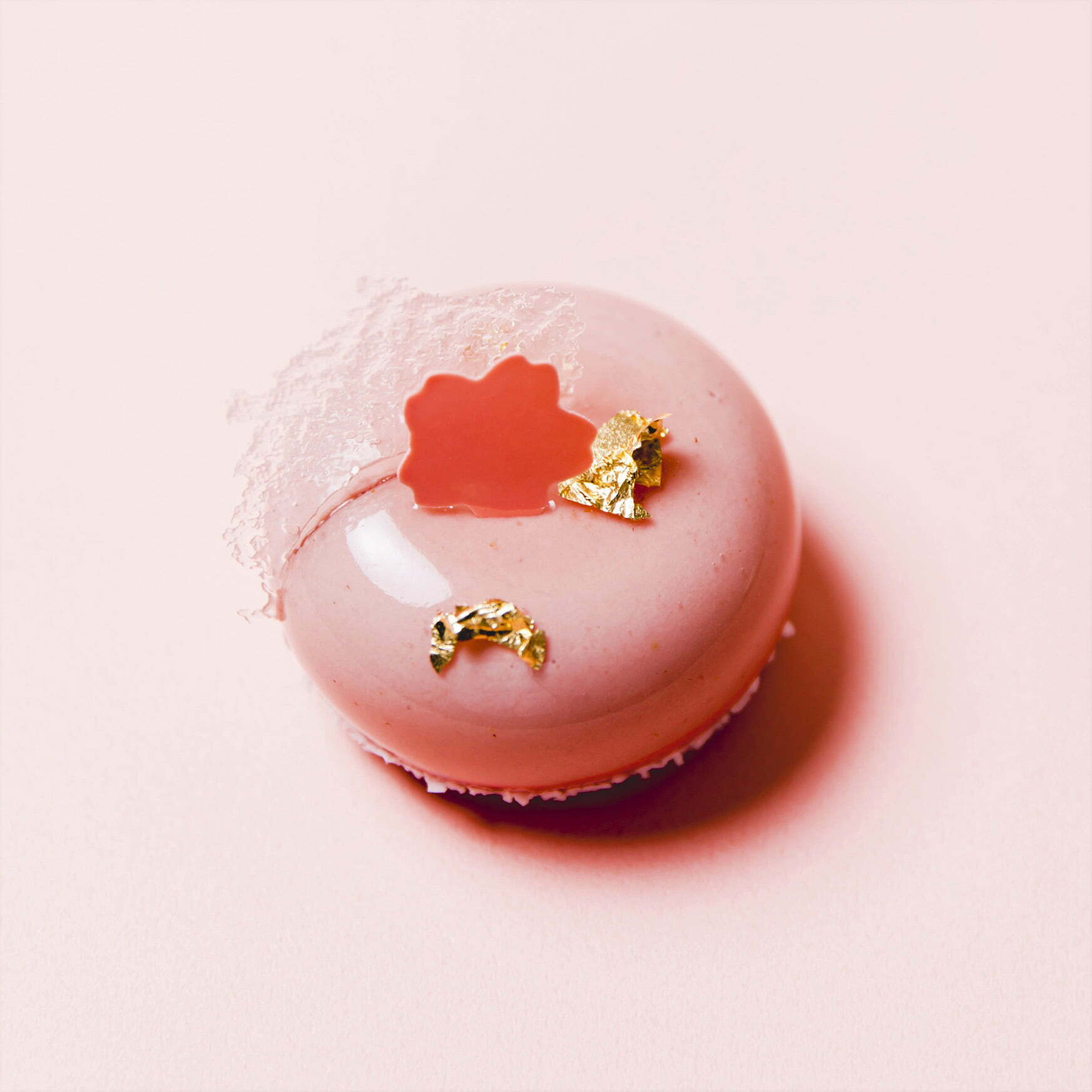 Ruby Cherry Cake - Dhawa Yura Kyoto