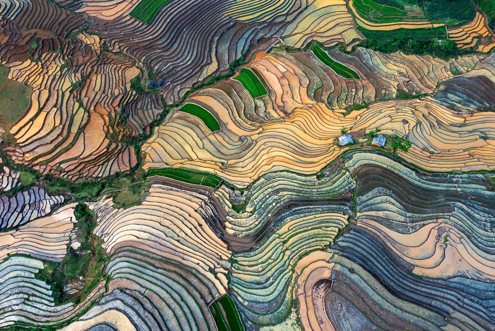 Terraced Fields in the Water Season - Photographer Name: Hong Nguyen - The beauty of the terraced fields in the water season is majestic and impressive. This was taken on 15 May, at the Sàng Ma Sáo.