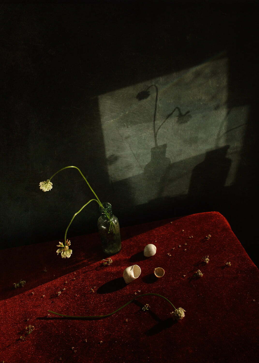 There Is a Shadow - Photographer Name: Maryia Sapego - Everything has a shadow, even a small flower. Copyright: © Maryia Sapego, Belarus, Shortlist, Open, Object, 2022 Sony World Photography Awards