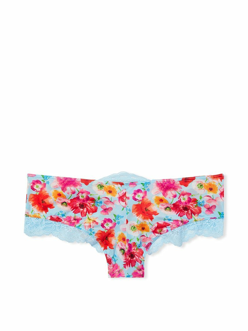 Micro Lace Inset Cheeky Panty Back