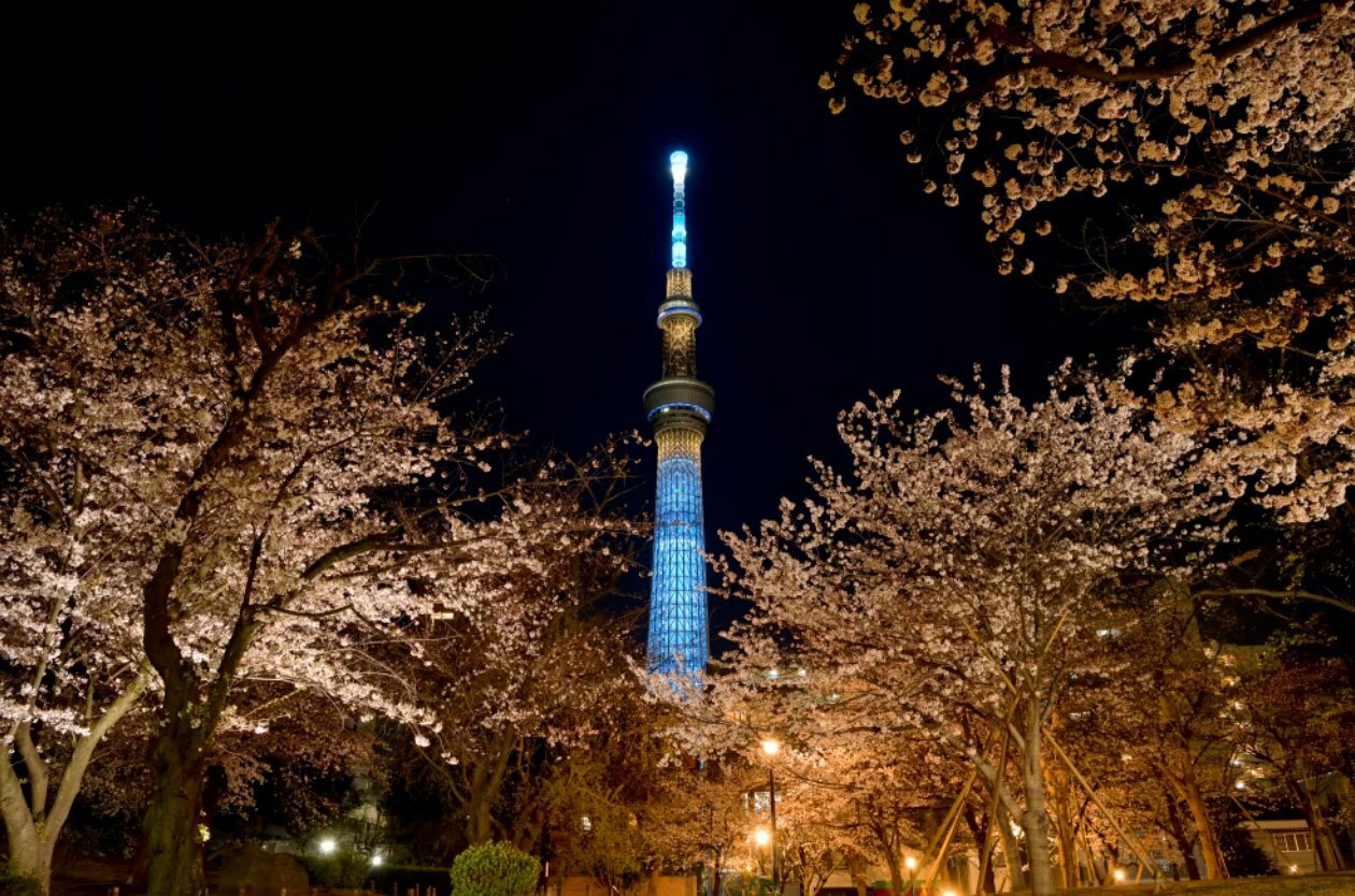 TOKYO SKYTREE at Sumida park