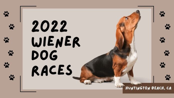 The Wiener Dog Races are back at Old World Village in Huntington Beach for its 2022 Season