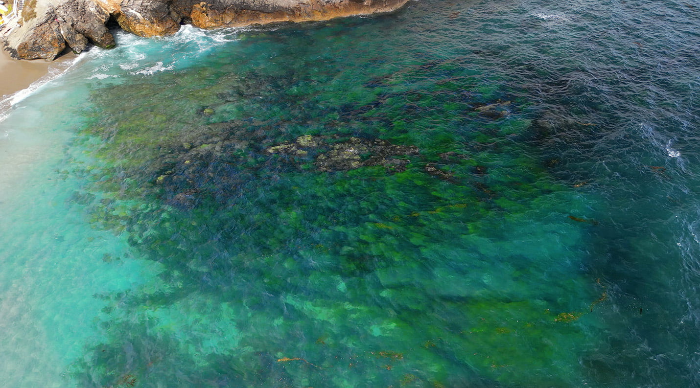 Laguna Beach captured with DJI Mini 3 Pro (Julie Nguyen/SNAP TASTE)