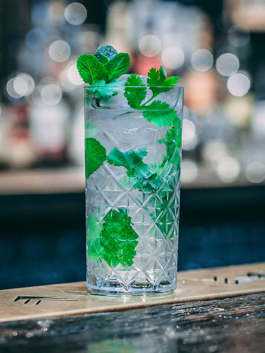 Moroccan Mojito - Moroccan Coriander