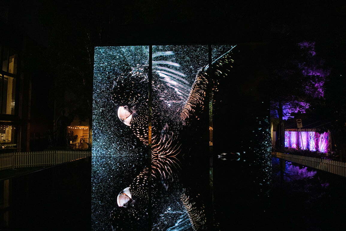 Vivid Festival 2022 CircularQuay