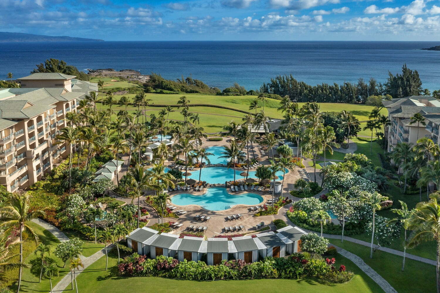 Aerial - The Ritz-Carlton Maui, Kapalua