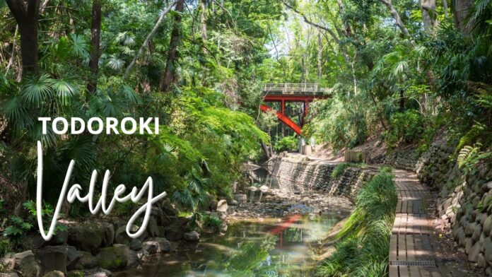 Todoroki Valley in Setagaya ward, Tokyo