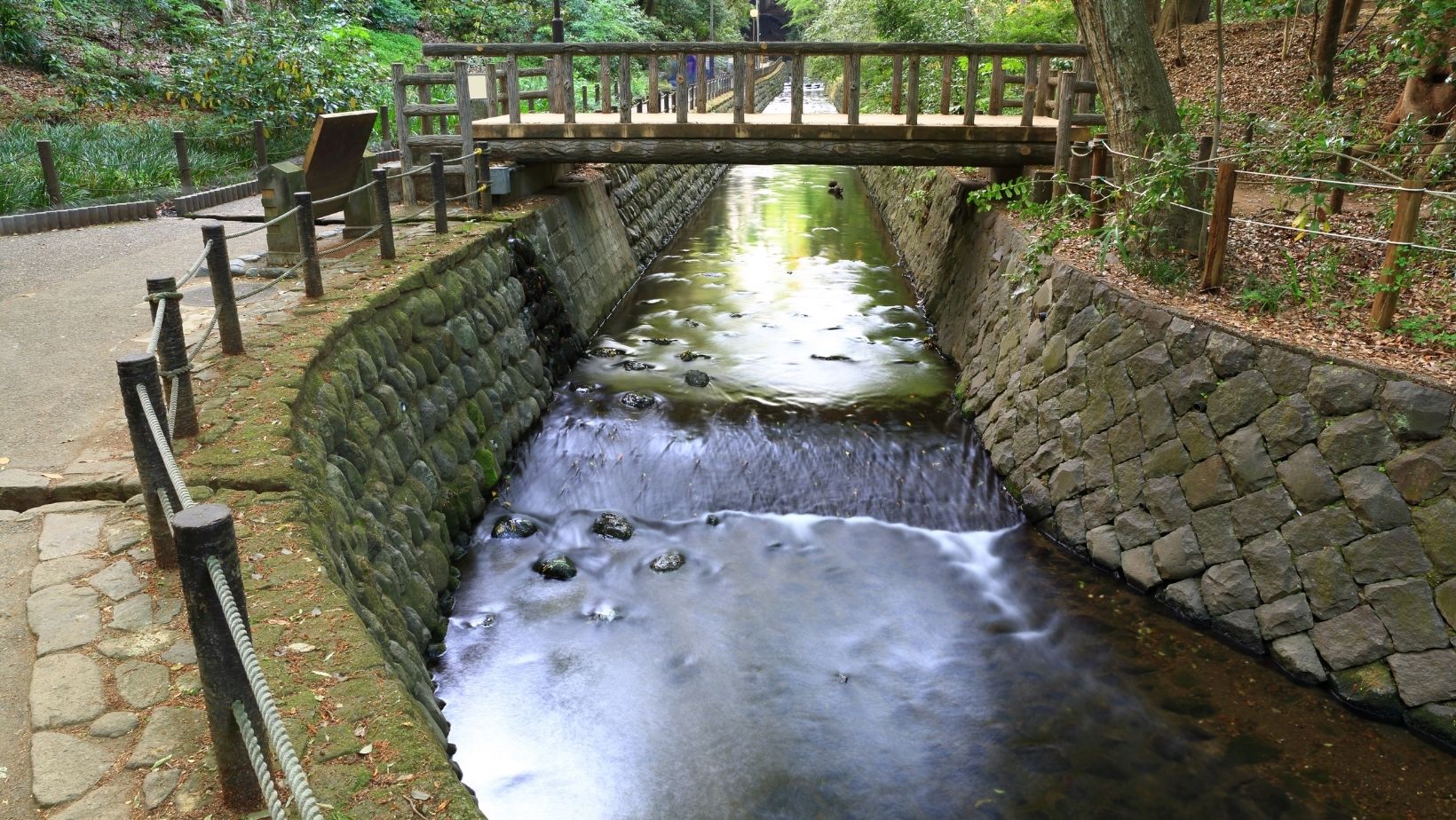 Todoroki Valley in Setagaya ward, Tokyo