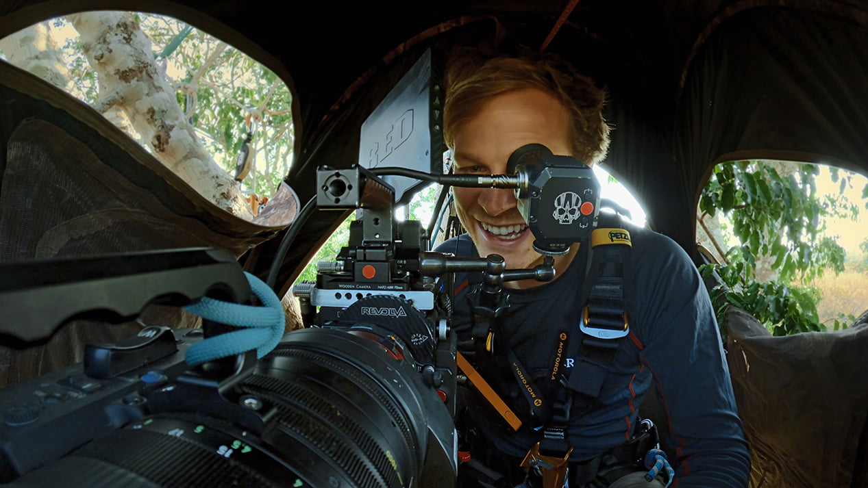 Bertie Gregory filming Crowned Eagles in his tree top hide. Bertie Gregory quay phim Đại bàng đăng quang trong chỗ trốn trên ngọn cây của mình