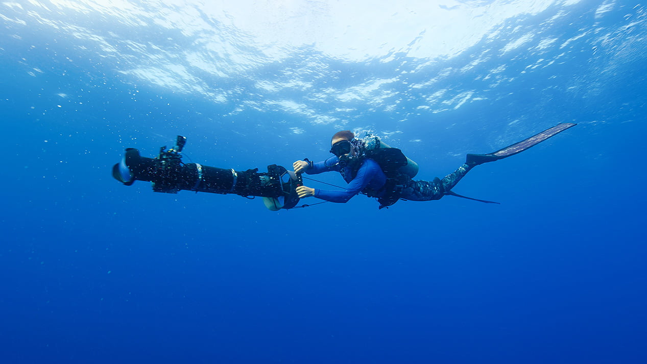 Bertie Gregory swimming with his underwater camera set up. Bertie Gregory đang bơi với chiếc máy ảnh dưới nước