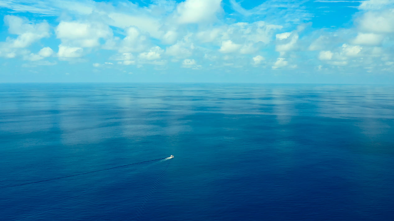 The team sails across the Ocean off the Osa Peninsula. Đội chèo thuyền vượt Đại dương ngoài Bán đảo Osa