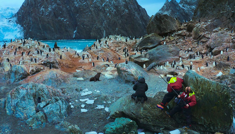 Crew and Bertie Gregory film penguins and seals. Bertie Gregory và toàn thể nhân viên phim chim cánh cụt và hải cẩu