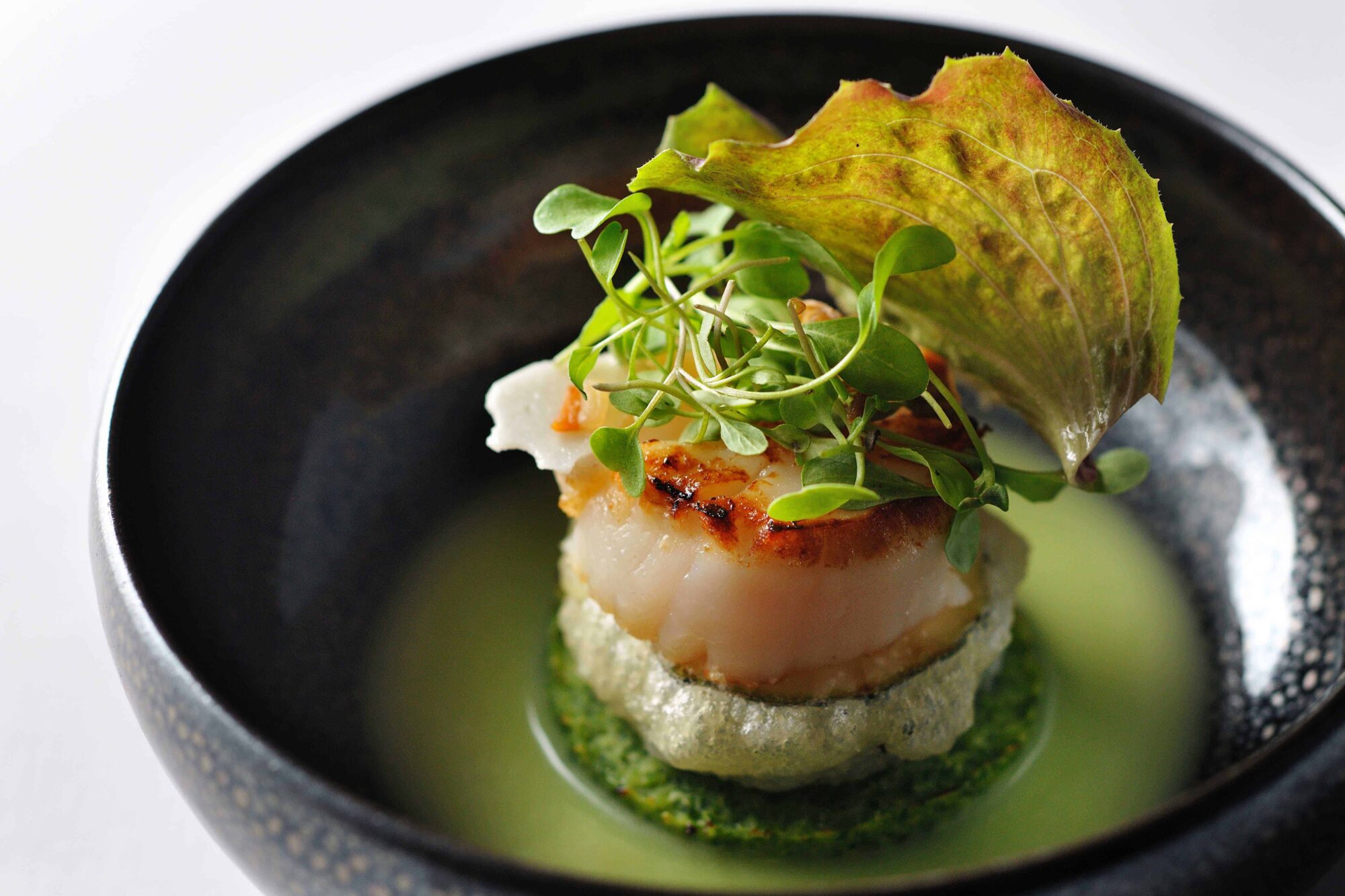 Scallop zucchini - Sonore